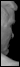 3D Brute Character